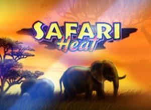 Safari Heat игровой автомат